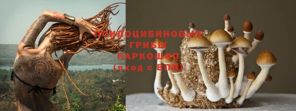 apvp Лагань