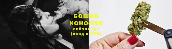apvp Лагань
