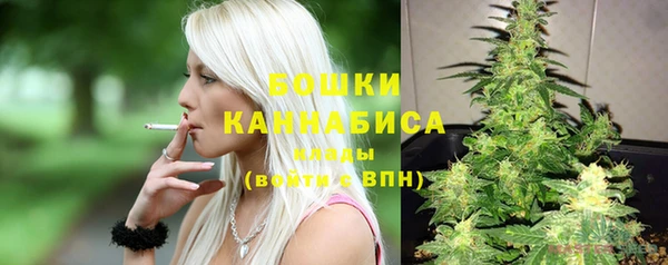 первитин Лабытнанги