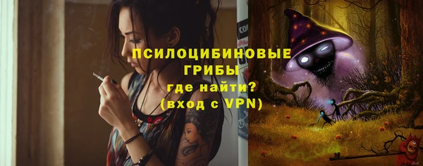 первитин Лабытнанги
