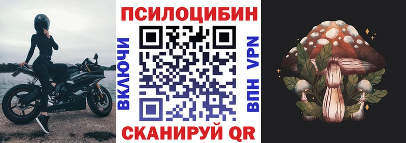Псилоцибиновые грибы прущие грибы  маркетплейс наркотические препараты  Усть-Катав  кракен вход 